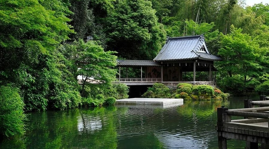 The Noh stage on Asaba's pond, surrounded by fresh green in early summer